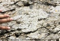 Moonstone Grey Polished