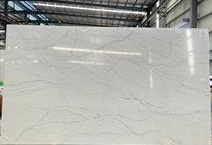 Calacatta Blanc PSQ