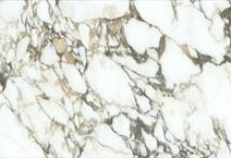 Calacatta Viola PSQ