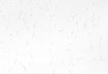 Carrara Plasma PSQ  -S/3CM